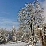 Winter view