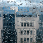 Singing In The Brain