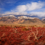 HIgh Sierras Fall Morning