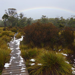 Day 6: Rainbow greets a lonely walker at Narcissus hut