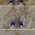 be prepared, be prepared