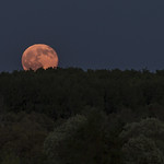 June Solstice Full Moon