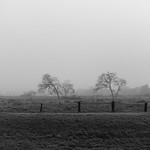 Spring, Texas (Houston)