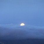 Che fai tu, luna, in ciel?