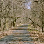 023470 Do I Feel Lucky?