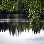 a sunny spring evening