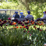 Bear Creek Park Surrey BC