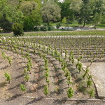 Havl&iacute;čkovy sady PRAHA !! P1070735