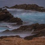 Point Lobos Wave Motion
