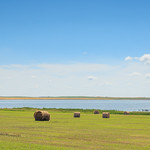 Hay by the Slough