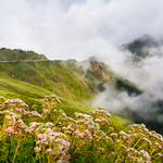 Hehuan Mountain, Taiwan 合歡山