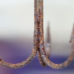 Macro Mondays....Theme Rust