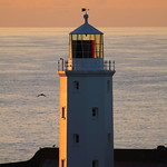 Godrevy Lighthouse catching the evening sun