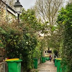 Trash collection day