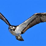 2019.04.22.9302 I See You There POD