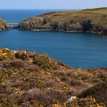 Strumble Head - Pembrokeshire 010419 (6) (F)