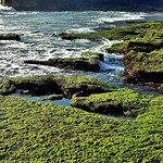 INDONESIEN, Bali - Rund um den Meerestempel Pura Tanah Lot, 18196/11475