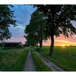 Sunset on the field 2