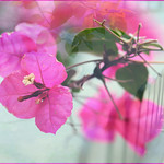 - Trying to reach infinity - (2)