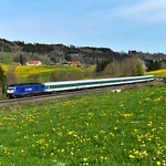 BRLL / Alex ER 20 - 015 Ellenberg (2089n)