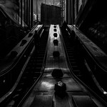 You Rise When the Sun Falls