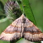 " I've got six things on my mind you're no longer one of them, Desire as a self-figured creature who changes her mind "