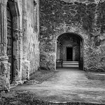 Miss Concepci&oacute;n