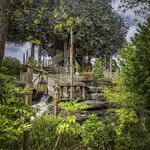 Swiss Family Robinson Treehouse