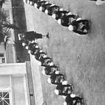 This image is taken from United States Naval Medical Bulletin Vol. 8, Nos. 1-4, 1914