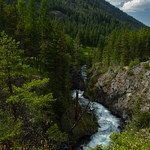 Cutting Through the Wallowa Forest