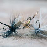 A dance of fishing flies