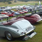 Sunbeam-Talbot 90 Line-up