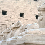 Karnak ram-sphinxes