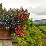 POWIS CASTLE GARDENS