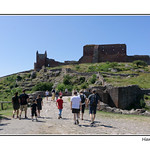 Hammerhus-Ruin-2019_DSC02739-web