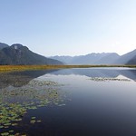 South End of Pitt Lake