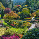 The Sunken Garden