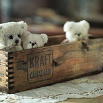 252. Say cheeeeese !!