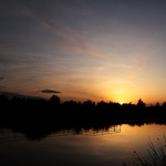 Se acaba el verano//Summer is over