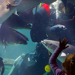 Encounters / Begegnungen