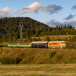 T678.0012, OsSv.30358