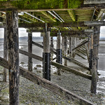 Tides Out White Rock