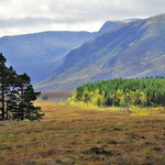 Ben Alder Landscape