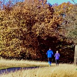Autumn Run...