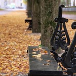 Same place, same time, same bench