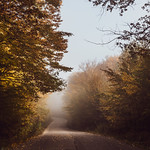 Stepping into autumn