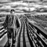 Following the Leader