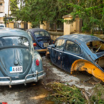 VW beetle graveyard, Nicosia.