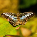Overlooking the fields