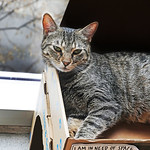 I Am in Need of Space